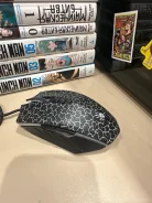 ���� �������. ����