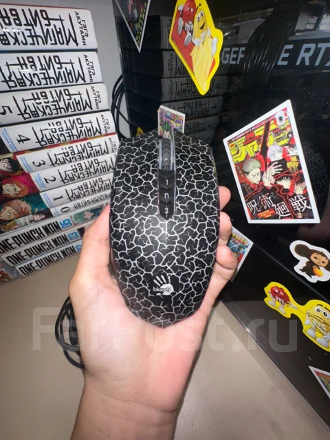 ���� �������. ����