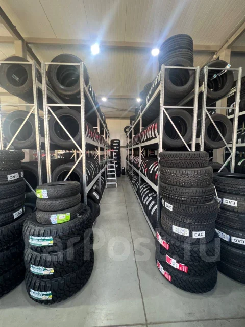 Triangle Snowlink PL01. ������, ��� �����, 2025 ���, ����� ����