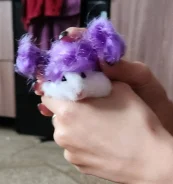 ������. ����