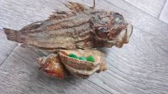 ������� - ���� " ��� " ����