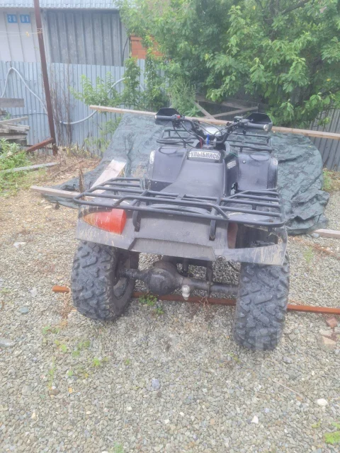 Avantis Hunter 250. ����������, ��� ���\���, �� ����