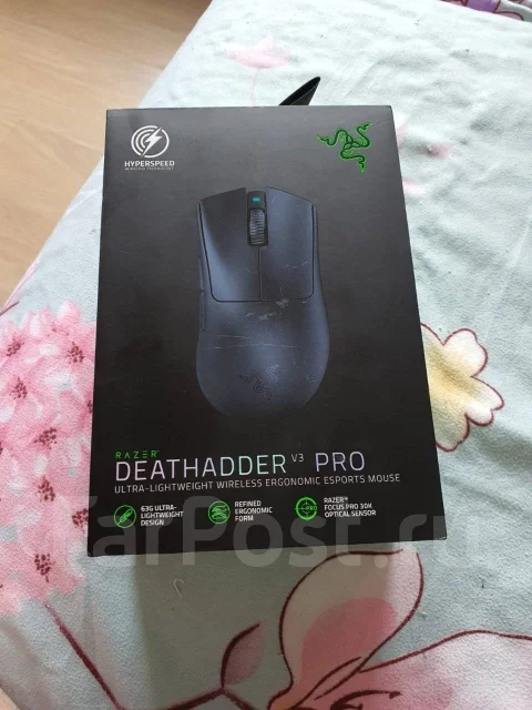 ���� ������������. ����