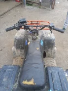 Irbis. ��������, ��� ���\���, �� ����