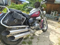 Irbis Garpia. 250����. ��., ��������, ���������, ������ �� �� ����
