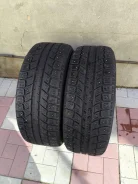 Autogrip Ecowinter. ������, ����������, 2014 ���, �/�, ����� 30 % ����