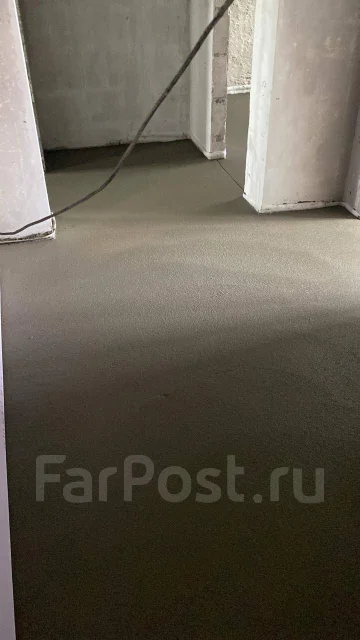 ������ �����. ����