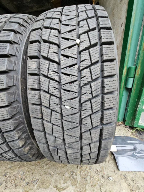 Bridgestone Blizzak DM-V1. ������, ��� �����, �/�, ����� �� 5 % ����