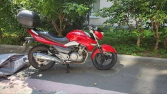 Suzuki GSR 250 Inazuma. 250����. ��., ��������, ���������, ������ �� �� ����