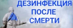 �����������. ����