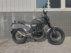 Regulmoto Fargo 300. 300����. ��., ��������, ���������, ������ �� �� ����