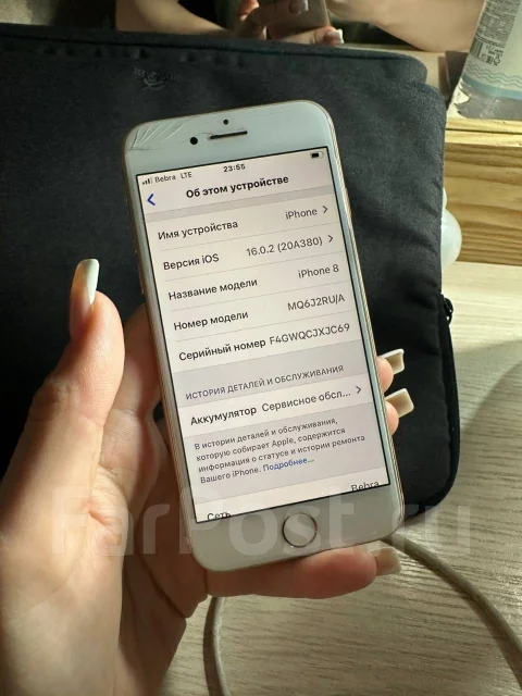 Apple iPhone 8. �/�, 64 ��, �������, 3G, 4G LTE ����