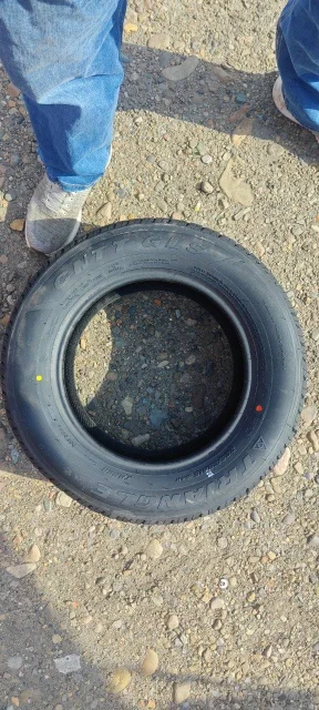 Triangle TR928. ������, 2023 ���, ����� ����