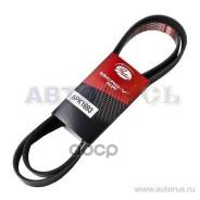   XF Gates 6PK1693 6PK1693 