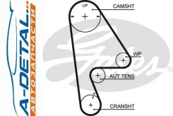 ������ ��� Gates 5410XS (T224) 5410XS ����