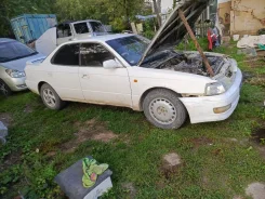 Toyota Vista ����
