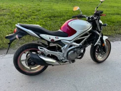 Suzuki SFV 650 Gladius. 645����. ��., ��������, ���������, ��� ������� ����
