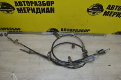 ���� ����������� ������� Nissan Primera P12 [36531-AV601], ������ 36531AV601 ����