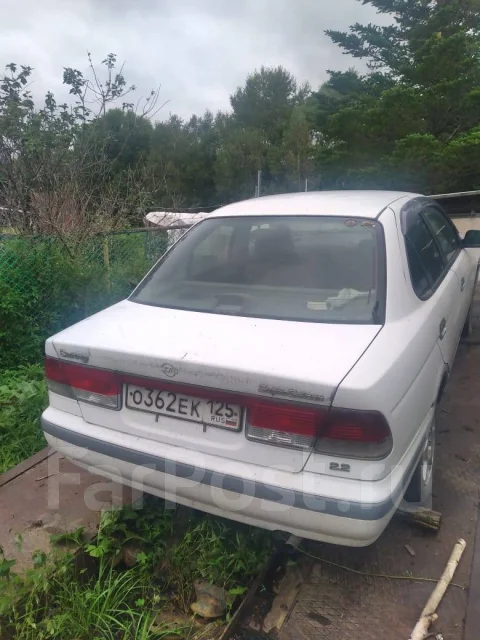 Nissan Sunny. �������, ��������, 2.2 (79��.�.), ������ ����