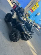 Stels ATV 850G Guepard Trophy Pro. ��������, ��, �� ����