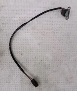 ������� ���������. ����