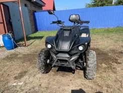 Linhai-Yamaha. ��������, ��� ���\���, �� ����