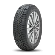 Roadstone Winguard Snow G