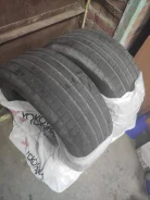 Dunlop Sport Maxx Race. ������, 2023 ���, �/�, ����� 30 %. �������� ������� ����