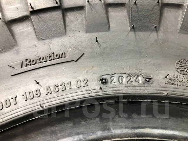 Accelera Badak X-Treme. ����� mt, 2024 ���, ����� ����