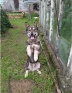 ������. ����