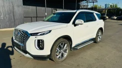 Hyundai Palisade ����