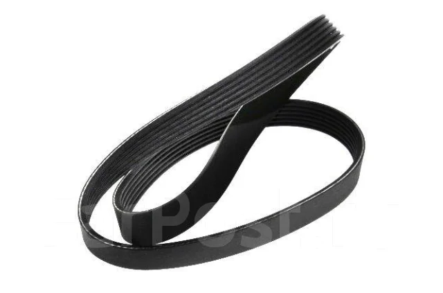 ������ Dayco ������������ 6PK975 6PK975 ����