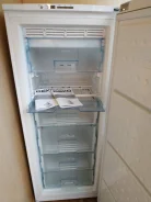 ������ �����������. ����