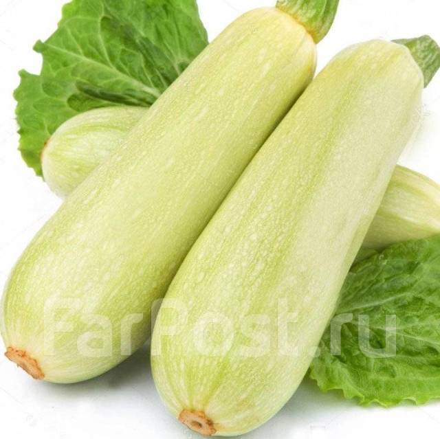 Продам кабачки, в наличии. Цена: 80₽ во Владивостоке