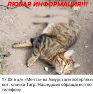 �����. ����