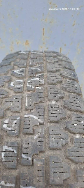 Bridgestone Blizzak PM-10. �����������, �/�, ����� 50 % ����