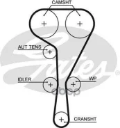 �������� ����� ��� + ����� ������� Renault Avantime, Laguna [178Gateskp35550XS] KP35550XS ����