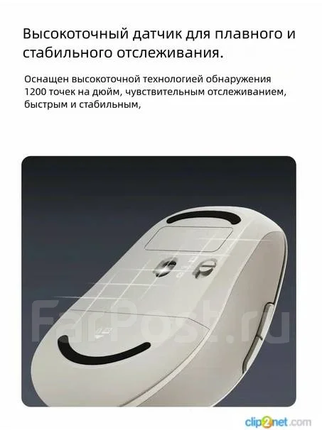 ���� ������������. ����