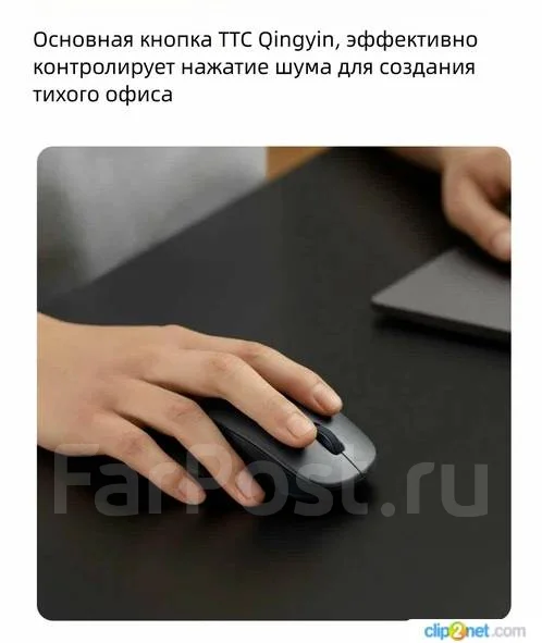 ���� ������������. ����