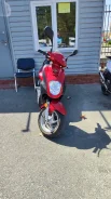 SYM Orbit 50. 50����. ��., ��������, ��� ���, ������ �� �� ����