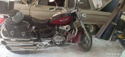 Irbis Garpia. 250����. ��., ��������, ���������, ������ �� �� ����
