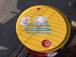 Shell Rimula R6 LM