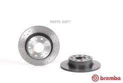 ���� ��������� ������������� Xtra 0895021X ����