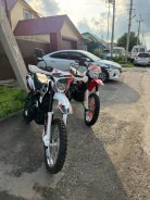 Racer Panther RC250GY-C2. 250����. ��., ��������, ���������, ������ �� �� ����