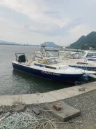 Yamaha F-24. ����� 7,2��., 200��.�., ������ ����