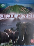 ����� ������� "������ ������" - 2010�. /Blu-ray, ��������/ ����