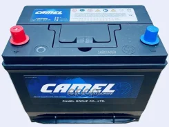 Camel
