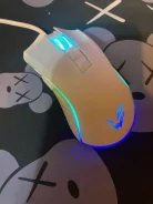 ���� �������. ����