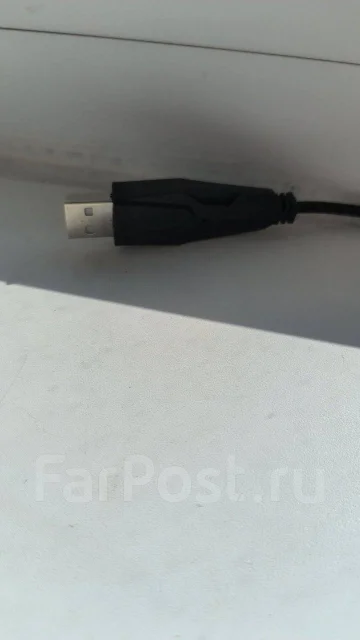 ���� �������. ����