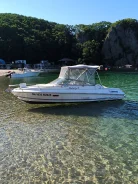 Thunderbird Falcon. 1996 ���, ����� 6��., ��������� ������������, 190��.�., ������ ����